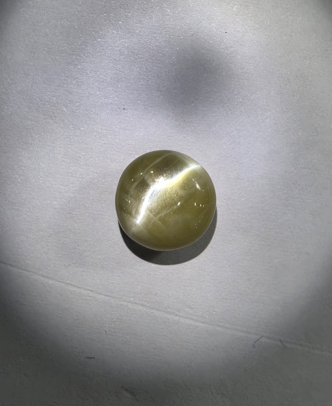 Cat's Eye