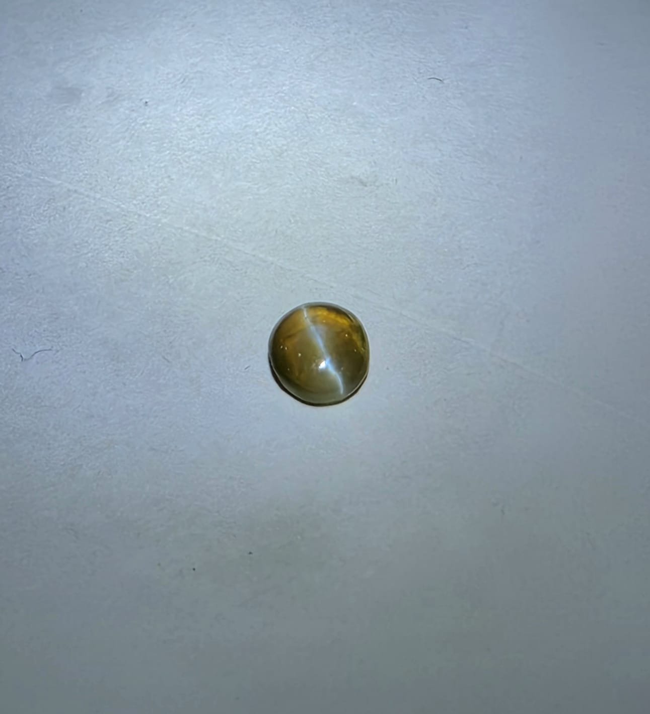 Cat's Eye