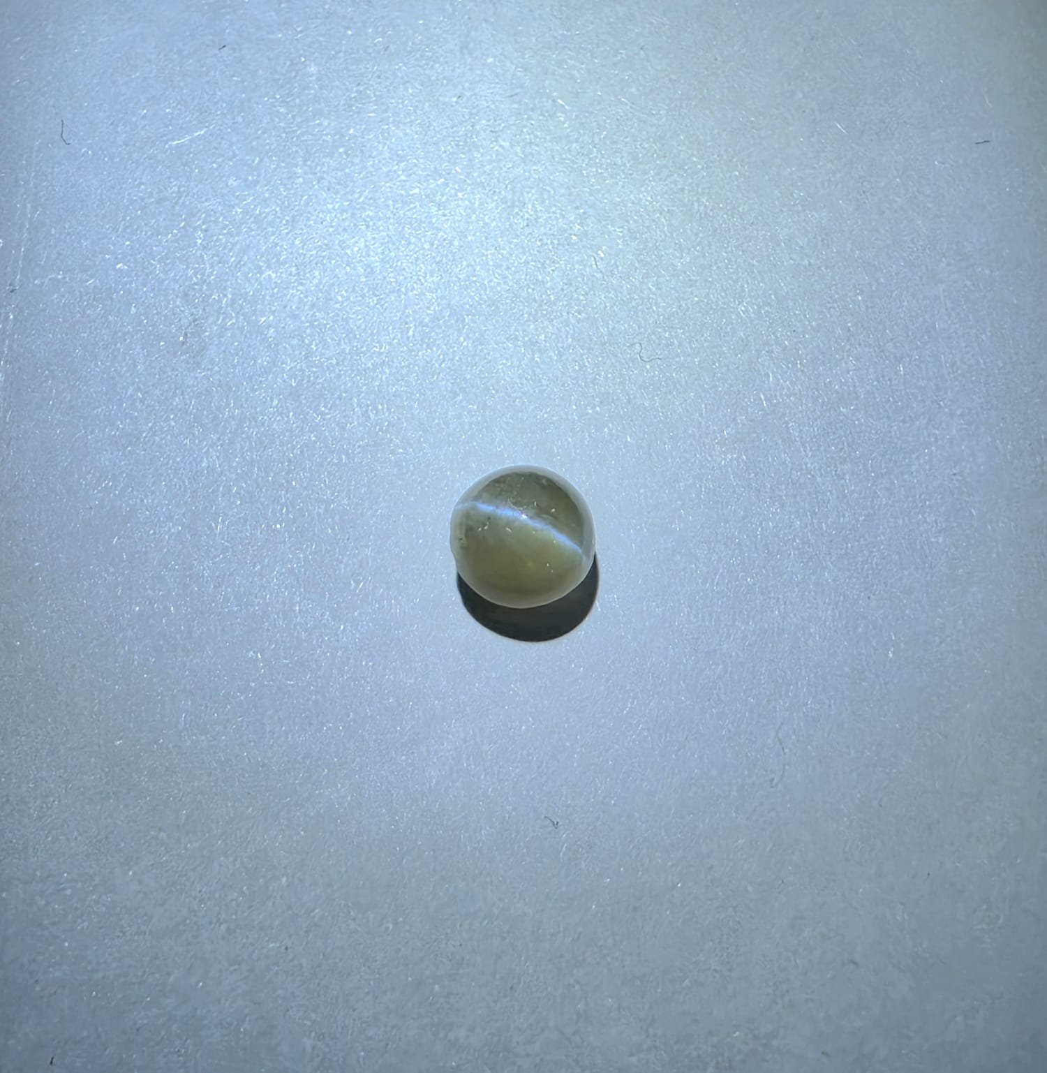 Cat's Eye