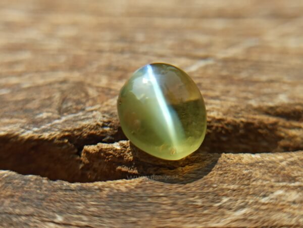 Cat's Eye
