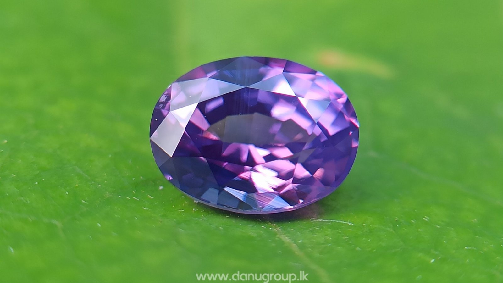 Purple Sapphire